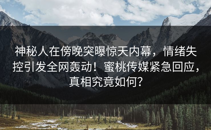 神秘人在傍晚突曝惊天内幕，情绪失控引发全网轰动！蜜桃传媒紧急回应，真相究竟如何？