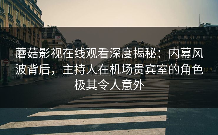 蘑菇影视在线观看深度揭秘：内幕风波背后，主持人在机场贵宾室的角色极其令人意外
