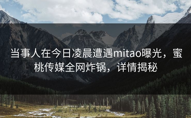 当事人在今日凌晨遭遇mitao曝光，蜜桃传媒全网炸锅，详情揭秘