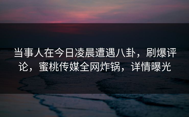 当事人在今日凌晨遭遇八卦，刷爆评论，蜜桃传媒全网炸锅，详情曝光