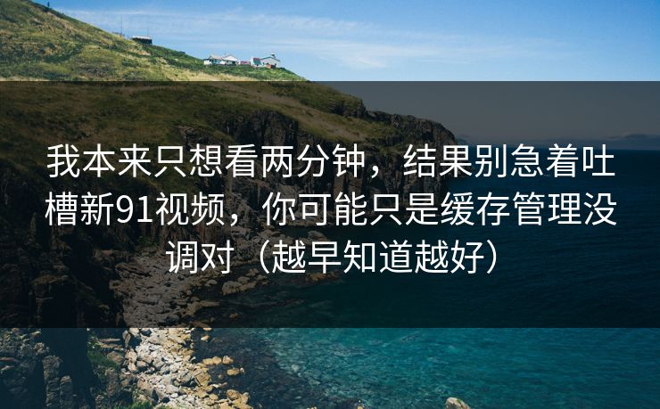 我本来只想看两分钟，结果别急着吐槽新91视频，你可能只是缓存管理没调对（越早知道越好）